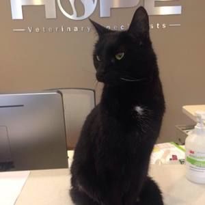 Meet your Posher, Ronald